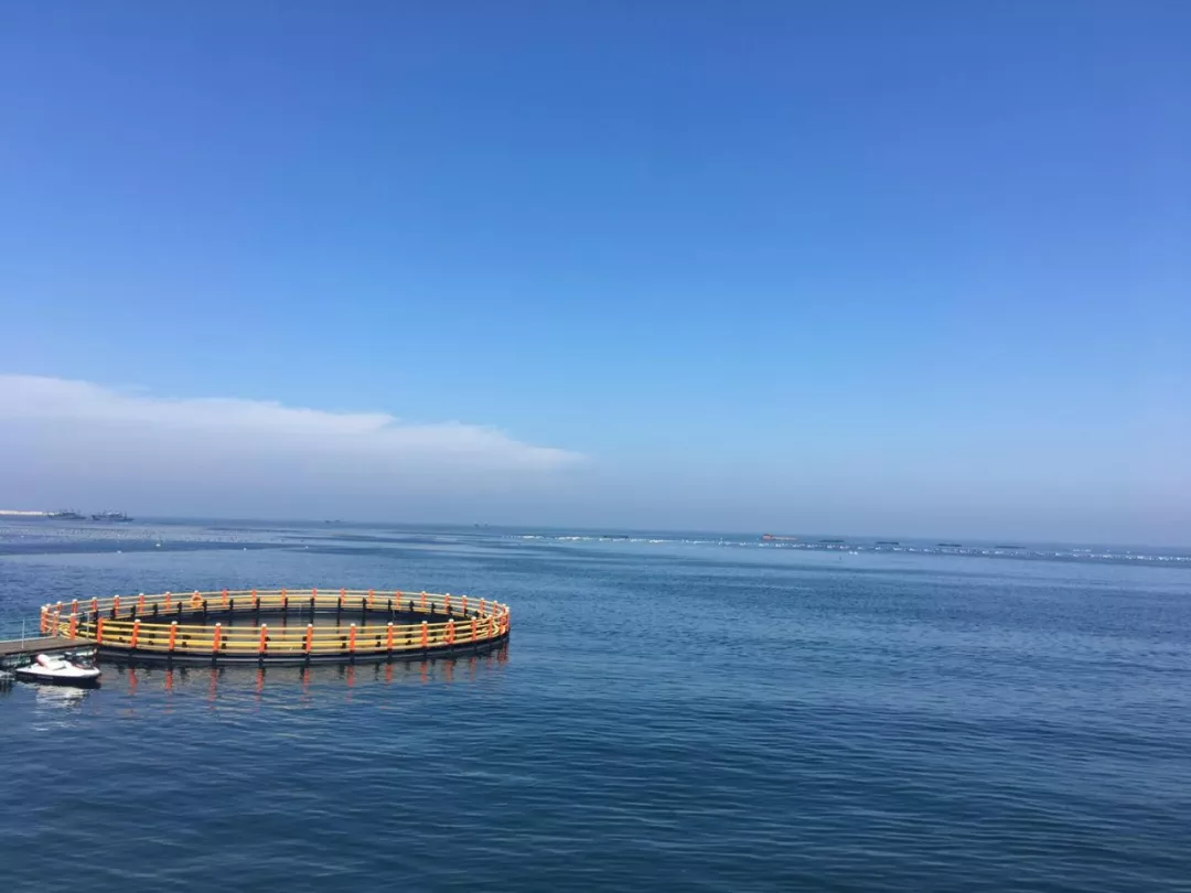 威海二日游，共享夏日情